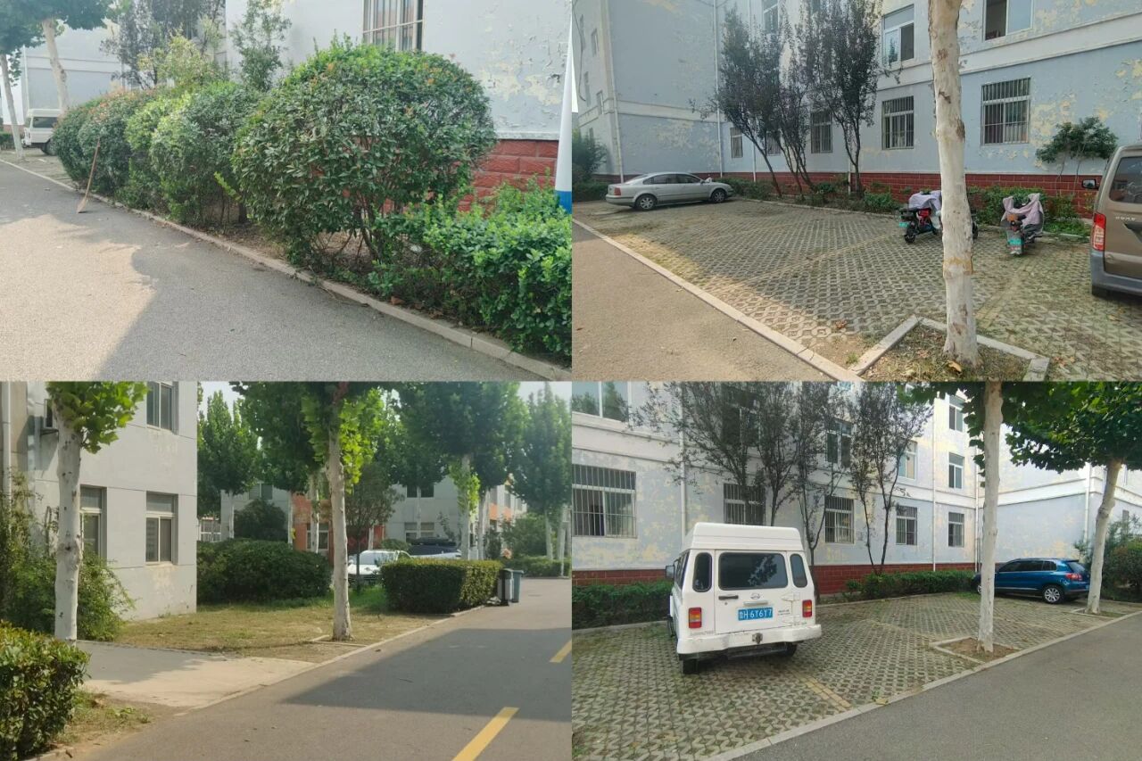 【魯南電商】共建美麗園區(qū)，我們在行動！1